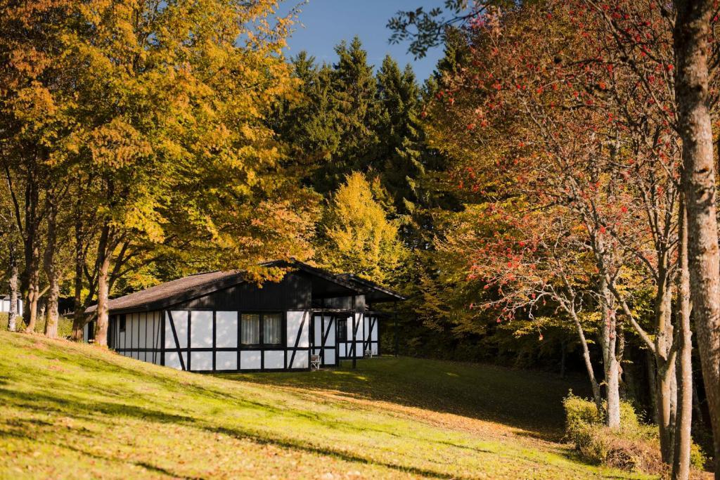 Sporthotel Grafenwald Даун Екстериор снимка